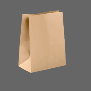 120GSM Kraft Bags (Medium)