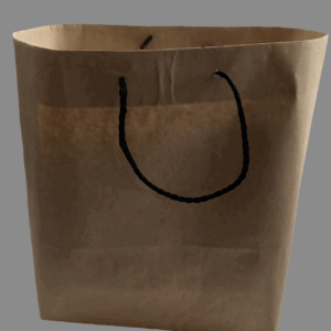 Kraft/White String/Opol Handle Paper Bags (Medium)