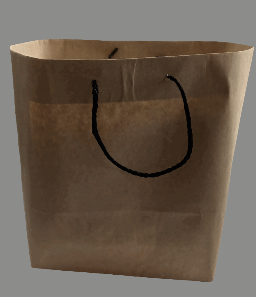 Kraft/White String/Opol Handle Paper Bags (Medium) - WrapnPack