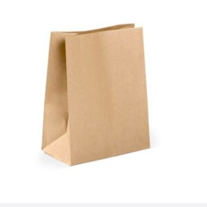 120GSM Kraft Bags (Large)