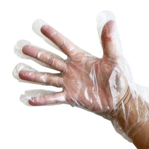 Clear Deli Gloves (100pcs)