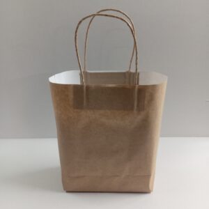 Carry Bag Mini Twisted Handle
