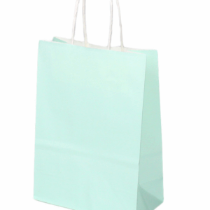 Handle Gift Bags - Macaron Green