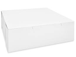 Cake Box White [16x16x5]