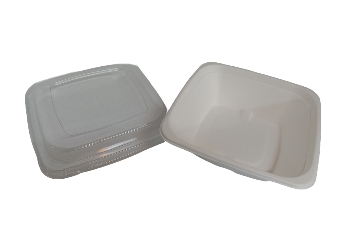 1L Bio Bowl Square & PET Lid