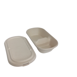 850ml 2 Compartment Food Container & Lid