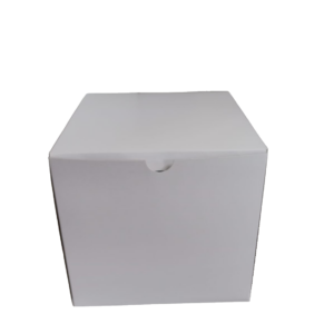 Cake Box White [8x8x8] Plain