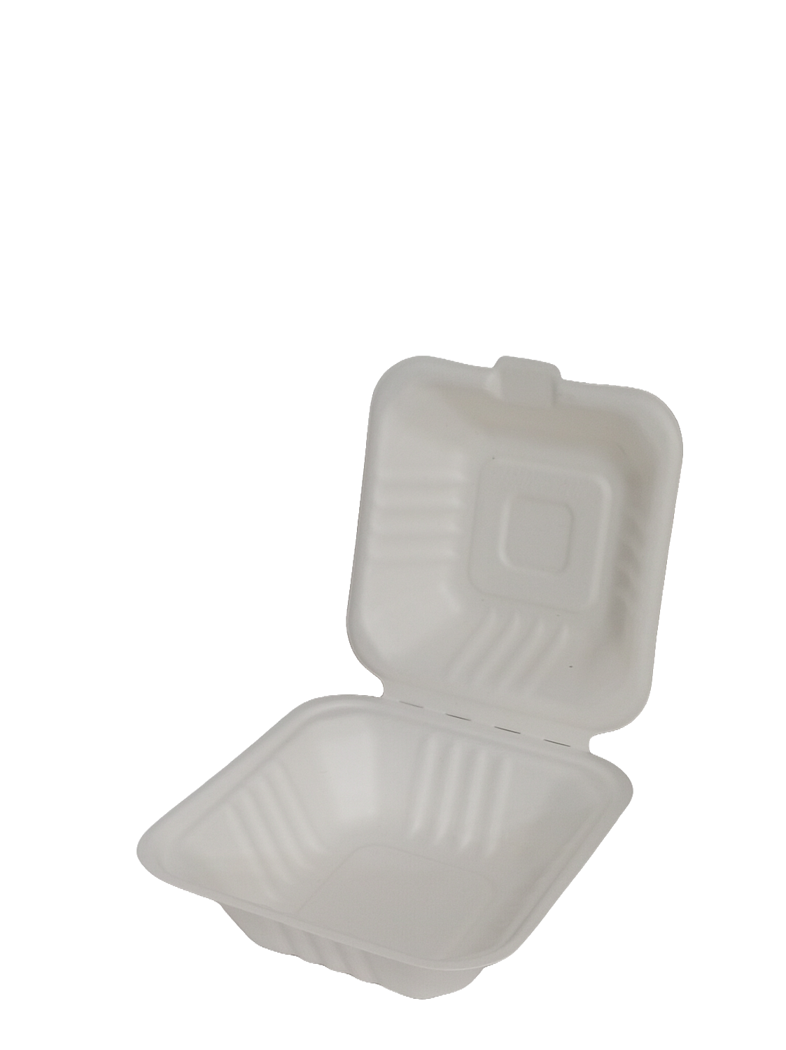 6" Bio Burger Box