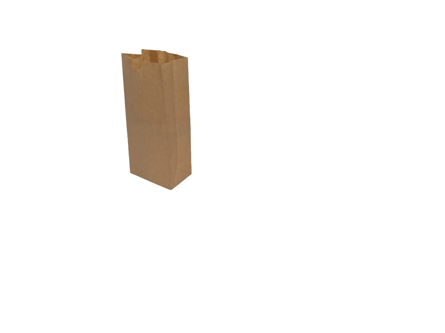 Brown Kraft SO 1 Bags - Image 3